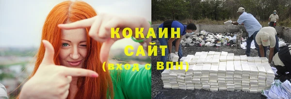 spice Богородск