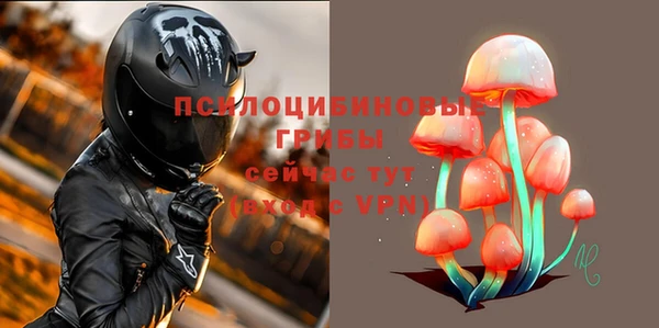 стаф Белокуриха