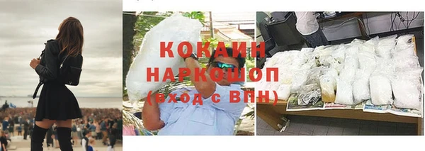 spice Богородск