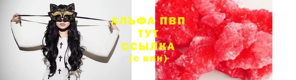 стаф Белокуриха