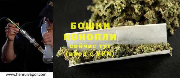 spice Богородск