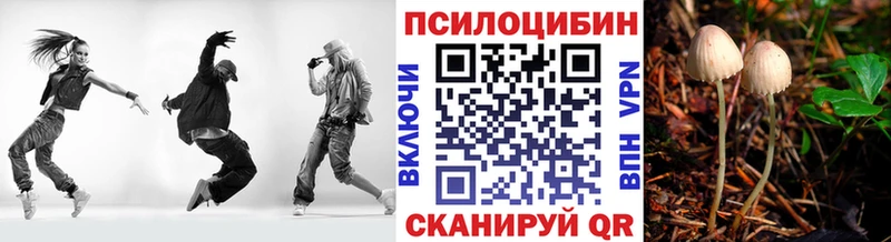 гидра ONION  Катайск  Галлюциногенные грибы Cubensis  что такое  